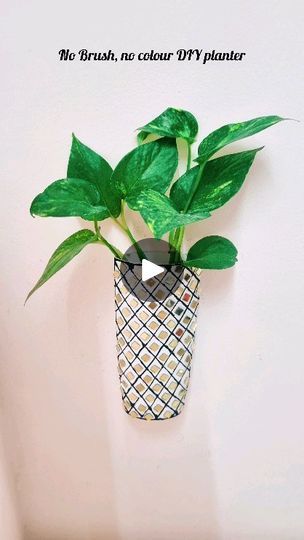 3K views · 329 reactions | ✨No Brush, no colour DIY planter 😉☘️| Upcycled shampoo bottle|DIY planter..
Materials needed - Black ceramic cone, golden mirrors and fabric glue.

DIY, DIY ideas, decor ideas, plants, DIY planter, trash to treasure.

✨Hope you liked this video. You can also check my previous reels for all  budget friendly DIYs.
Thanks for watching.😊🙏

✨Do follow @decor_diy_widpriya for more budget friendly DIY, gardening and home decor ideas.😊

#happinesshomemadetour 
#diyplanter #mirrors
#plantcollection #nameplate #diywalldecor #warliartwork #walldecor #cardboardcrafts #cardboardart #bestoutofwaste #trashtotreasure #homedecor #artistsoninstagram #explorepage #trending #instadaily #cardboard #wallhangingdecor #reelvideo #reelinstagram #reelsindia #redecormyhome #trendingree Shampoo Bottle Diy, Budget Friendly Diy, Plants Diy, Diy Planter, Golden Mirror, Bottle Diy, Diy Gardening, Best Out Of Waste, Cardboard Art