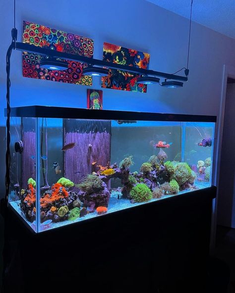 Large Fish Tank Ideas, Neon Fish Tank, Spongebob Fish Tank, Fake Aquarium, Big Fish Tanks, Cool Fish Tank Decorations, Large Fish Tank, Custom Fish Tanks, Large Fish Tanks