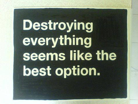 "Destroying everything seems like the best option." Photographer Humor, Destroy Everything, Happy Pills, Typography Poster, Picture Quotes, That Way, Cool Words, Favorite Quotes, Me Quotes