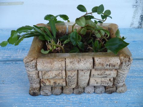 DIY garden plant container makes a great spice garden for your kitchen or used in a child’s room to grow a sweet potatoe vine. The uses for this cork DIY plant container are endless. Fun, easy craft! Bottle Cork Crafts, Wine Cork Planter, Wine Cork Centerpiece, Wine Cork Diy Projects, Cork Planters, Cork Diy Projects, Wine Cork Diy Crafts, Cork Crafts Diy, Spice Garden