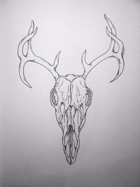 Reindeer Skull Tattoo, Wendigo Skull Drawing, Deer Skull Back Tattoo, Stag Skull Drawing, Deer Skull Outline, Stag Skull Tattoo, Reindeer Skull, Deer Skull Drawing, Antlers Drawing