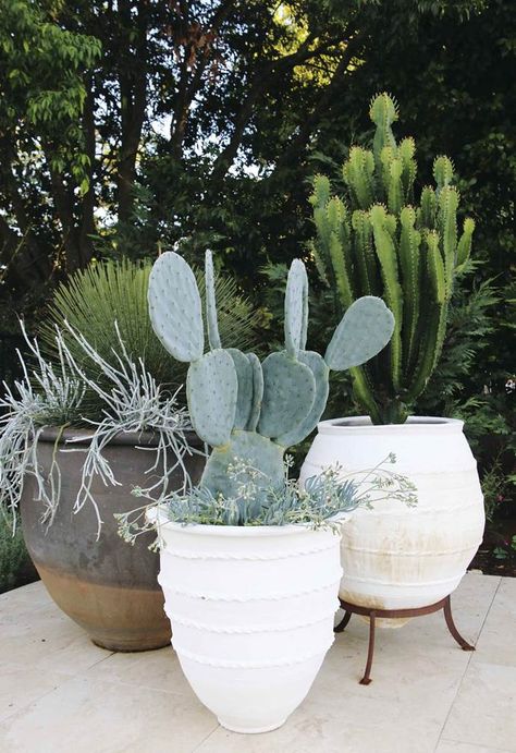 These top 12 home decor trends for 2019 are guaranteed to make it a design year to remember! Here we ask the experts to share their thoughts on what the next 'big thing' for interior design will be this year... Outdoor Potted Succulents, White Pots, Potted Cactus, Architectural Plants, Potted Plants Outdoor, Outdoor Pots, Cactus Garden, Decor Trends, Balcony Garden