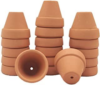 Amazon.com: small clay pots 2 inch Clay Nursery, Mini Terracotta Pots, Diy Crafts Wedding, Small Clay Pot, Plant Diy, Terra Cotta Pot Crafts Diy, Mini Plant, Terra Cotta Pot Crafts, Clay Flower Pots