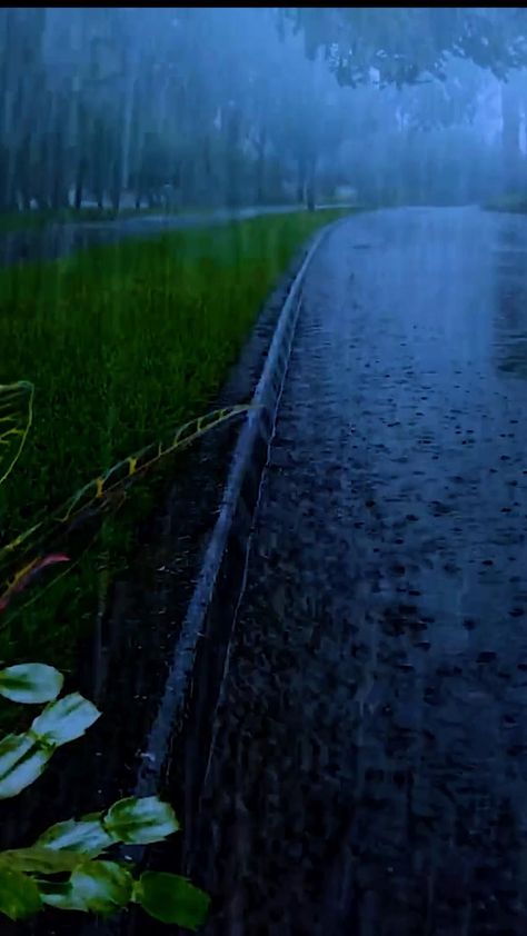 Rain Thunderstorms Video, Heavy Rain Photography, Thunderstorm Video, Rain Animation, Lighting Storm, Sleep Hypnosis, Relaxing Rain, Rain And Thunderstorms, Sleep Sounds