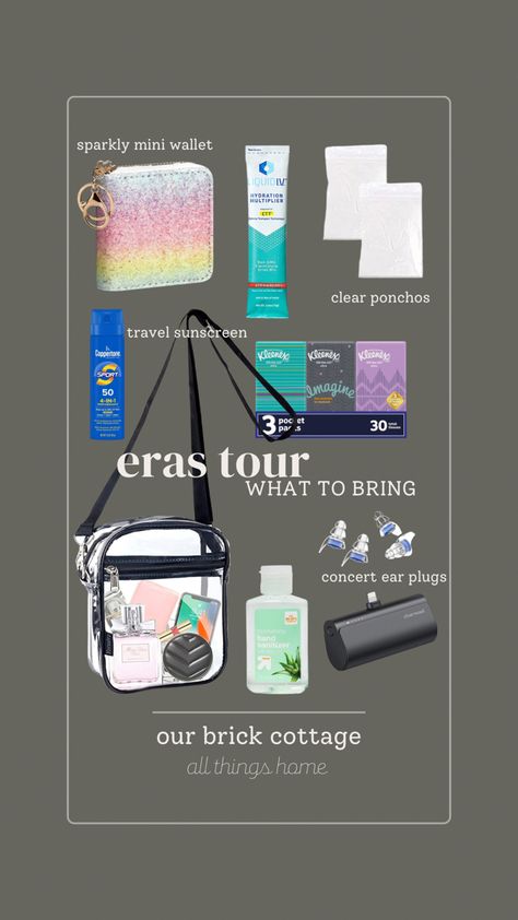 Concert Ear Plugs, Stadium Bag, Ear Plugs, Mini Wallet, Clear Bags, Hand Sanitizer, Sunscreen, Crossbody Bag, Bring It On