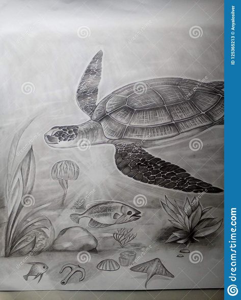 Photo about Pencil art of turtle starfish under water view ocean octopus. Image of octopus, ocean, water - 125365213 Turtle Under Water Drawing, Underwater Drawing Pencil, Drawing Ideas Turtle, Octopus Image, Under The Sea Drawings, Elemental Energy, Water Sketch, Underwater Drawing, Sea Creatures Drawing