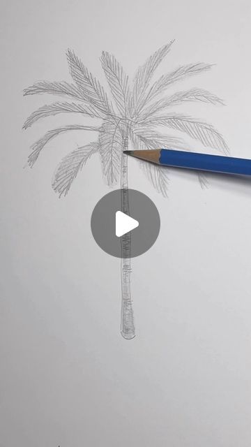 Mark Liam Smith on Instagram: "Draw a realistic palm tree 🌴 Easy drawing lesson for beginner artists on how to draw a palm tree. #drawinglesson #palmtree" Easy To Draw Palm Trees, Drawing A Palm Tree, How To Draw A Palm Tree Step By Step, Palm Tree Drawing Sketches, How To Draw Palm Trees, How To Draw A Palm Tree, Easy Palm Tree Drawing, Palm Tree Painting Easy, Draw Palm Tree