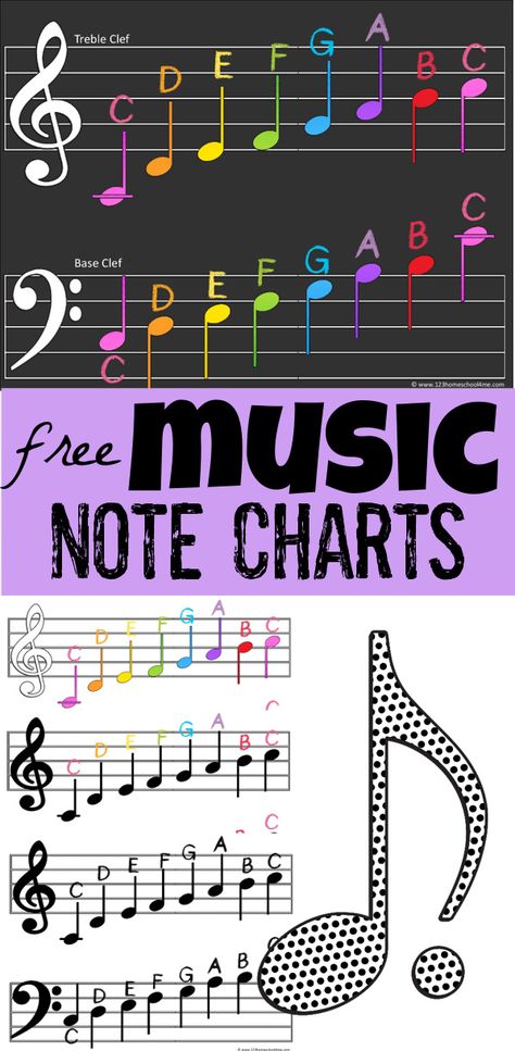 Is music theory part of your homeschool? It is easier than you think to teach kids how to read music on the treble clef and base clef with this handy music notes chart. This music note chart is a free music printable for kids to reference as they learn to read music, learn piano, and more! There are colorful and black and white options in 3 sizes! Use this printable music notes chart with kindergarten, first grade, 2nd grade, 3rd grade, 4th grade, 5th grade, 6th grade, and middle school ... Printable Music Notes, Music Theory Printables, Reading Music Notes, Free Music Theory Worksheets, Learn Piano Notes, Learning Music Notes, Music Theory Piano, Music Printables, Piano Lessons For Kids