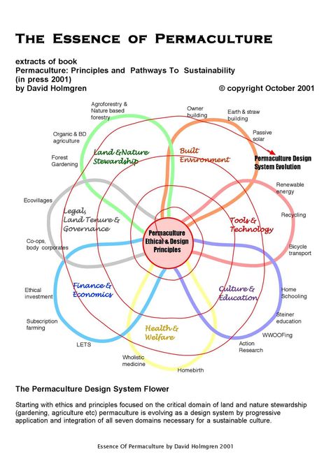 Farm Design Layout, Permaculture Garden Design Layout, Permaculture Design Layout, Permaculture Layers, Fruit Tree Guild Permaculture Design, Permaculture Farming, Permaculture Food Forest, Food Forest Layout Permaculture Design, Homestead Layout