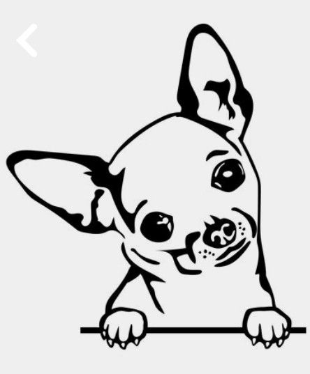 Chihuahua Tattoos, Chihuahua Svg, Chihuahua Drawing, Chihuahua Quotes, Chihuahua Tattoo, Meds For Dogs, Chihuahua Mom, Me And My Dog, Cute Chihuahua