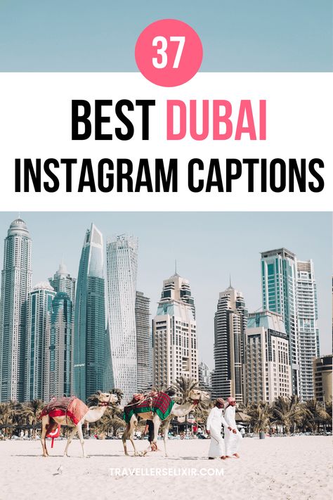 Best Dubai Instagram captions & quotes Dubai Instagram Pictures, Dubai Quotes, Puns Quotes, Vacation Captions, Short Captions, Dubai Aquarium, Dubai Safari, Captions For Instagram Posts, Beach Captions