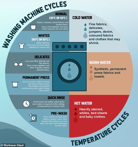 Laundry basics 101: Ultimate guide for washing your clothes without ruining them | Daily Mail Online Washing Machine Tips Clothes, Laundry Temperature Guide, Laundry Temperature Chart, Laundry Infographic, Washing Clothes Tips, Laundry Basics, Laundromat Aesthetic, Clothes Washing Hacks, Yacht Stewardess