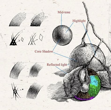 Hatching Exercise, Crosshatching Drawing, Scratchboard Illustration, Hatch Drawing, Inking Techniques, Etching Art, Ink Drawing Techniques, Ink Techniques, Texture Drawing