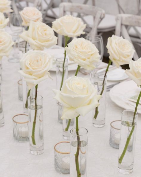 An ethereal dream brought to life at the Montage Palmetto Bluff ✨🌿 The Severs’ all white wedding with accents of lush green was one to… | Instagram Single Rose Bud Vase, Minimalist Wedding Reception, Montage Palmetto Bluff, Minimalist Centerpiece, Ideas Para Boda, Palmetto Bluff, All White Wedding, Single Rose, Baby Reveal