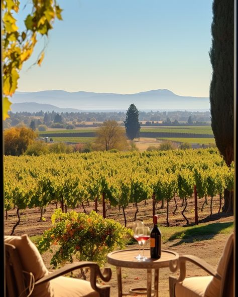 Napa Valley Napa Valley Aesthetic, Napa Aesthetic, Napa Outfit, Nappa Valley, Valley Aesthetic, Dream Travel Destinations, Napa Valley, Travel Dreams, Travel Destinations