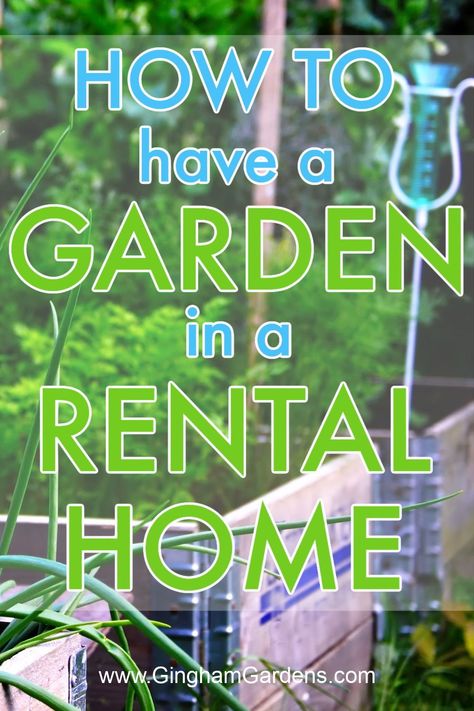 Renting but still want to have a garden? No problem! Check out these awesome tips and tricks on how to grow a stunning garden in your rental home without breaking the rules or your landlord's heart. Rental House Yard Ideas, Rental Friendly Garden, Gardening For Renters, Renter Friendly Garden, Rental Garden Ideas, Garden Ideas For Renters, Flower Garden Tips, Gardening Printables, Growing Vegetables In Pots