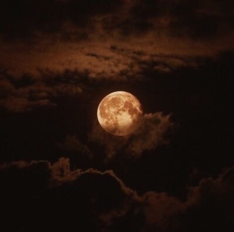 Brown Eyes Aesthetic, Aesthetic Image, Werewolf Aesthetic, Moon Aesthetic, The Moon Is Beautiful, Moon Pictures, Brown Wallpaper, Dark Academia Aesthetic, Academia Aesthetic