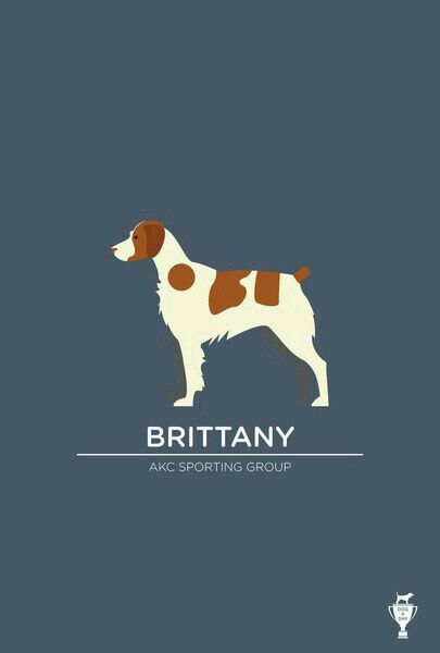 Brittany Spaniel Art, Brittany Spaniel Tattoo, Brittney Spaniel, Brittany Spaniel Dogs, Spaniel Art, Best Dogs For Families, Brittany Spaniel, Bear Dog, Dog Crafts