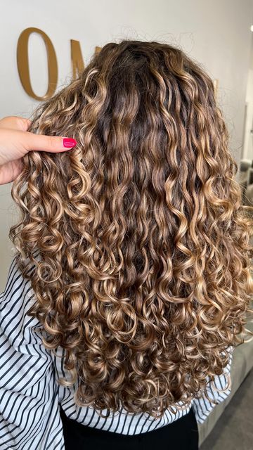 Curly Long Hair With Highlights, Hair Colour On Curly Hair, Natural Curls With Highlights, Summer Hair Color For Brunettes Curly, Long Curly Highlighted Hair, Hair Color Idea For Curly Hair, Gold Highlights Curly Hair, Curl Hair Highlights, Honey Brown Hair With Highlights Curly