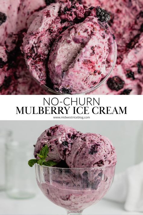 This No-Churn Mulberry Ice Cream allows you to enjoy the bright flavor of sweet mulberries without an ice cream maker! Using only six ingredients this no-churn ice cream recipe is creamy, smooth, and loaded with mulberries! Berry Ice Cream Recipe, Mixed Berry Ice Cream, Berry Ice Cream, Homesteading Recipes, Mulberry Recipes, Fruit Desserts Easy, Best Summer Desserts, Jello Shot, Ice Cream Mixture