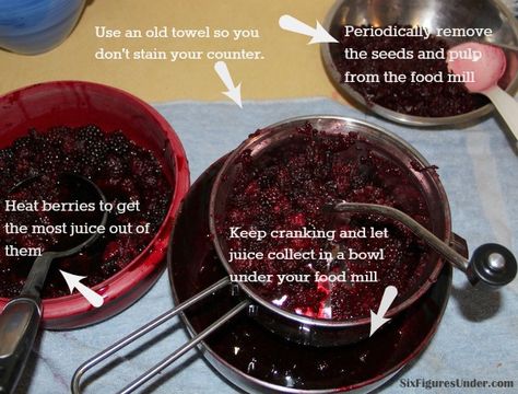 How to Make Razzleberry Jam - Six Figures Under Razzleberry Jam, Preserving Vegetables, Raspberry Jelly, Canning Jam, Six Figures, Blackberry Jam, Jam And Jelly, Jelly Recipes, Fruit Jelly