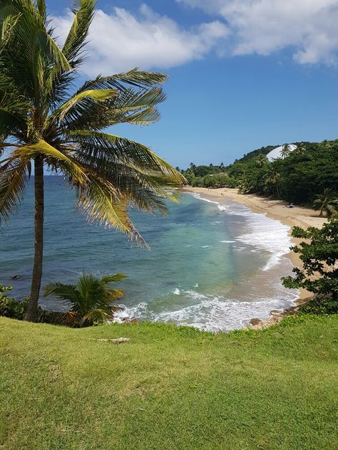 Puerto Rico Ocean, Puerto Rico Lighthouses, Rincon Puerto Rico, Wyndham Grand Rio Mar Puerto Rico, Puerto Rico Rincon, El Yunque Rainforest, Puerto Rican Culture, Lesser Antilles, Amazing Places On Earth