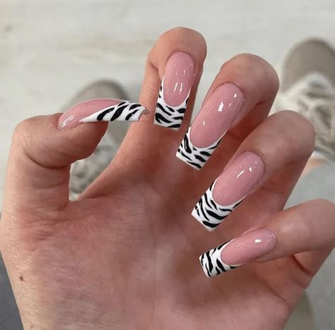 Zebra Print Acrylic Nails French Tip, Zebra Square Nails, Zebra Nails Animal Prints, Zebra Tip Nails, Zebra Print Acrylic Nails, Zebra Print French Tip Nails, Zebra Nails Acrylic, Zebra French Nails, Zebra French Tip Nails