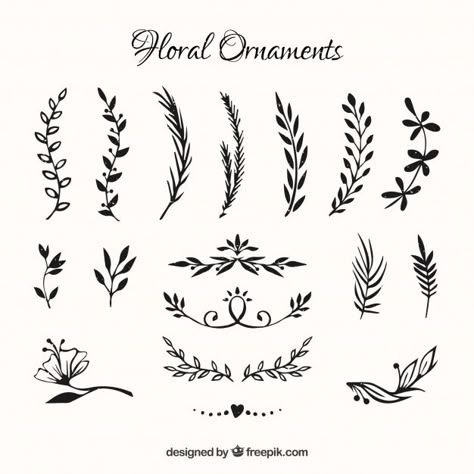 More than a million free vectors, PSD, photos and free icons. Exclusive freebies and all graphic resources that you need for your projects Flower Ornaments Drawing, Ornaments Drawing, Flowers Ornaments, Ornament Drawing, Drawn Flowers, Leaf Template, Free Hand Drawing, Drawing Simple, Hand Drawn Flowers