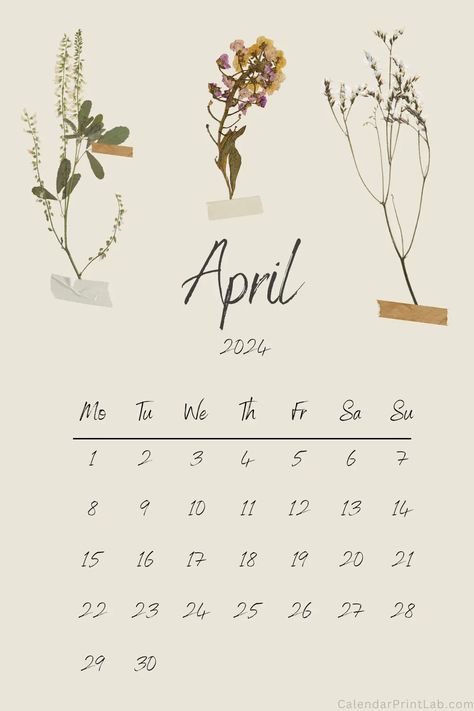 April Screensaver Iphone, April Iphone Wallpaper Aesthetic, March 2024 Calendar Wallpaper Aesthetic, May 2024 Wallpaper, April Calender 2024, Calendar 2024 April, April Background Aesthetic, May 2024 Calendar Wallpaper Iphone, 2024 April Calendar