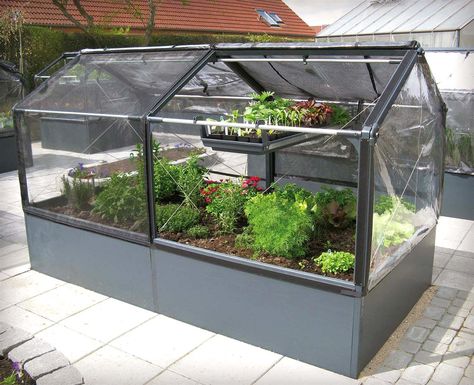 Modular Greenhouse, Make A Greenhouse, Serre Diy, Modular Raised Garden Beds, Modern Greenhouses, Greenhouse Cover, Best Greenhouse, Outdoor Greenhouse, Indoor Greenhouse