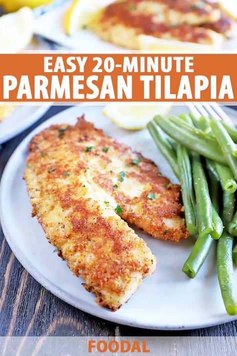 Parmesan-crusted tilapia is a simple recipe that’s ready in just 20 minutes. The tender fish is coated with a simple cheesy breadcrumb mixture, then cooked until golden brown and flaky. Once you try it, you’ll see why it’s guaranteed to become a go-to. Get the recipe now on Foodal. #healthyfishrecipe #tilapia #foodal Dinner Recipes With Tilapia, Parmesan Crusted Tilapia Pan Fried, Tilapia Parmesan Crusted, Simple Tilapia Recipe, Crusted Tilapia Recipes, Talapia Ideas, Easy Tilapia Recipes, Tilapia Parmesan, Easy Tilapia