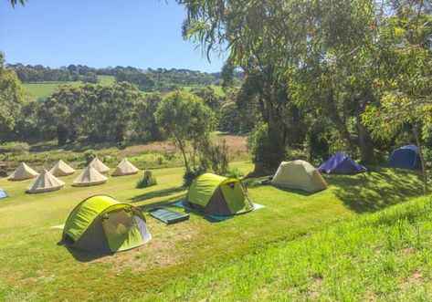 Iluka 1.5 hours Mornington Peninsula has several designated camp zones in picturesque areas throughout the property. This is as close to real bush camping as you can get.. with the use of our facilities. Camping Area Design Plan, Opening A Campground, Peninsula Hot Springs, Camping Zone, Nayara Tented Camp, Camping Design, Prospector Tent Glamping, Camping Planning, Mornington Peninsula