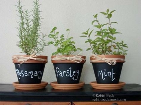 Chalk Board Flower Pot TOP 10 #ORIGINAL #DIY #FLOWER POTS Terracotta Herb Pots, Herb Gardens, Diy Gardening, Indoor Herb Garden, Herb Pots, Clay Pot Crafts, Herbs Indoors, Chalkboard Paint, Growing Herbs