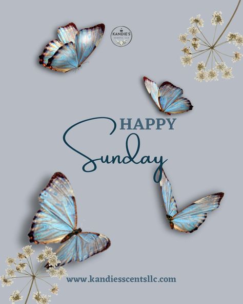 🦋Good Morning & Happy Sunday🦋 #goodmorning #happysunday #sundayvibes #sundayfunday #sundays #ilovesundays #highlights #explorepage✨ #sunday #love #happy #kandiesscentsllc Happy Sunday My Love, Sunday Greetings, Sunday Love, Good Morning Happy Sunday, Sunday Evening, Serenity Prayer, Good Morning Happy, Sunday Funday, Good Morning Images