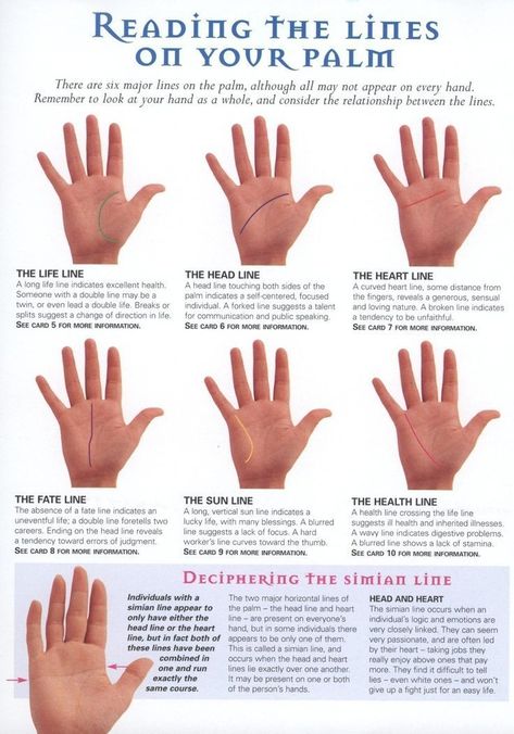 A palm reader told me I had a Simian Line. A single crease across the hand. Apparently it's rare and has lots of interesting meaning. Here's what I learned. Palmistry Reading, Palm Lines, Palm Reader, Hand Lines, Palm Reading, Vie Motivation, Fortune Telling, Mind Body Spirit, Straight Line