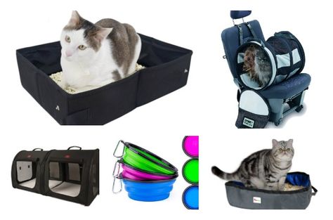 Cat Travel Essentials, Dog Car Travel, Cat Tips, Dogs Tips, Travel Dog Bowl, Pet Kennels, Dog Essentials, Along For The Ride, Car Essentials