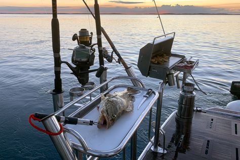 It's easy to set up your own little piece of heaven on the back of your boat with our marine BBQ mounts. Australian made and designed so you can custom build to suit your needs our range of mounts allow you to set up however you like, no matter the size or type of your boat. This set up includes: - Deluxe Gas Portable BBQ - Removable Pins for Duckboard Rails - BBQ Utensil Tray - Stainless Steel Gas Bottle - Gas Bottle Holder with Clamps - Tubular Bait Board with Rod and Drink Holders Boat Bbq, Hull Boat, Utensil Tray, Portable Bbq, Boat Stuff, Bbq Accessories, Bottle Holder, Custom Build, The Back