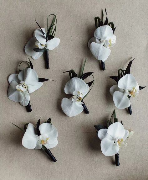 Ranch Mansion, White Orchids Wedding, Mansion Estate, Orchid Boutonniere, Modern Wedding Bouquets, White Boutonniere, Orchid Bouquet, Bridal Bouquet Flowers, Farm Ranch