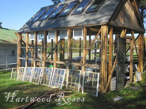 What Is A Conservatory, Building A Greenhouse, Cheap Greenhouse, Window Greenhouse, Salvaged Windows, Conservatory Greenhouse, Best Greenhouse, Outdoor Greenhouse, Build A Greenhouse