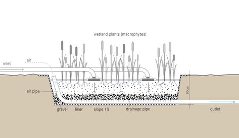 Constructed Wetland, Grey Water System, Aquatic Ecosystem, Drainage Pipe, Contaminated Water, Living Roofs, Artificial Lake, Surface Water, Eco Living