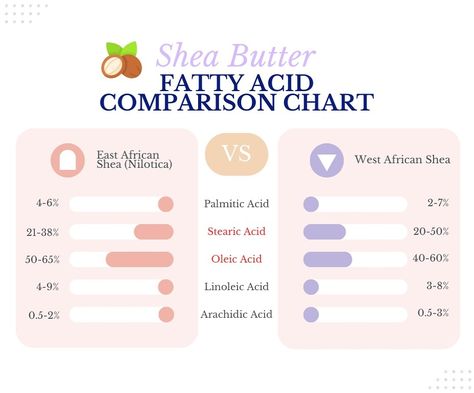 Some of the differences between East African (Nilotica) Shea and West African Shea butter are: 1) East African (Nilotica) shea has a higher percentage of oleic acid, which makes it softer and creamier, 2) West African Shea has a higher percentage of stearic acid, which gives it a more solid consistency, 3) East African (Nilotica) shea is more rare. It only represents 1% of all shea worldwide. You’ll only find those trees in North Uganda and South Sudan, and 4) West African shea is more commo... African Shea Butter, Botanical Skincare, South Sudan, Nourish Your Body, Bath And Body Care, Uganda, Natural Skin, Natural Skin Care, Shea Butter