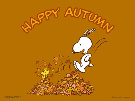 Happy Fall Quotes, Thanksgiving Snoopy, Wallpaper Snoopy, Peanuts Thanksgiving, Happy Autumn, Snoopy Halloween, Thanksgiving Wallpaper, Snoopy Wallpaper, Snoopy Quotes