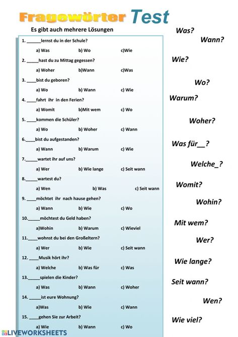 Learning German Worksheets, Plurals Worksheets, German Phrases Learning, German Phrases, Learning German, German Grammar, The Worksheet, European Languages, German Language Learning