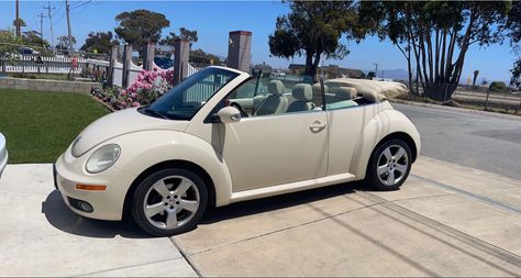 Slug Bug Convertible, Slug Bug Car, Convertible Bug, Convertible Beetle, Volkswagen Convertible, Slug Bug, Volkswagen Beetle Convertible, Bug Car, Beetle Car