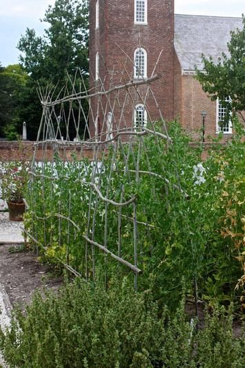 Colonial Style Landscaping, Small Trellis Ideas, Colonial Nursery, Williamsburg Gardens, Twig Trellis, Colonial Home Design, Outlander Kitchen, Patio Layout Design, Vegetable Farm