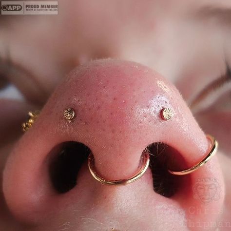 #mantispiercing • Instagram Septum Stack, Stacked Septum, Medusa Piercing, Tattoos And Piercings, Piercings, Tattoos, Quick Saves, Instagram