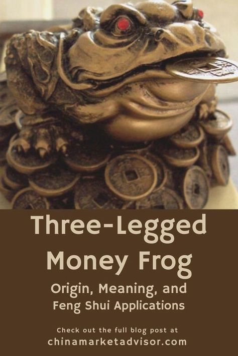 Feng Shui Cat, Feng Shui Frog, Feng Shui Money Corner, Feng Shui Money Frog, Money Corner, Money Frog, Feng Shui Basics, Feng Shui Rules, Feng Shui Elements