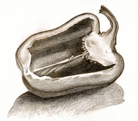 pepper Pepper Drawing, Fruits Drawing, Observational Drawing, Charcoal Drawings, Object Drawing, Still Life Drawing, Drawing Projects, Pencil Art Drawings, Fruit Art