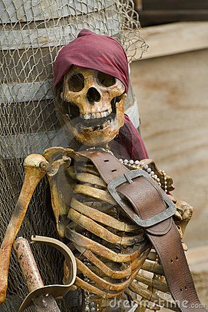 Pirate skeleton dressed in colorful pirates clothes with brown leather belt. Pirates Clothes, Pirate Halloween Decorations, Pirate Halloween Party, Skeleton Pirate, Pirate Props, Pirate Skeleton, Pirate Decor, Pirate Outfit, Pirates Cove