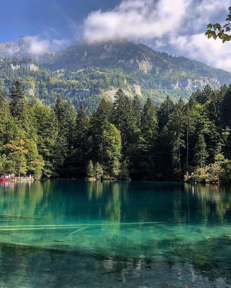 Blausee Switzerland #diy #crafts Blausee Switzerland, Amazing Landscapes, High Vibes, Photography Travel, Nature Beautiful, Beautiful Scenery, Amazing Places, Mind Blowing, Planet Earth